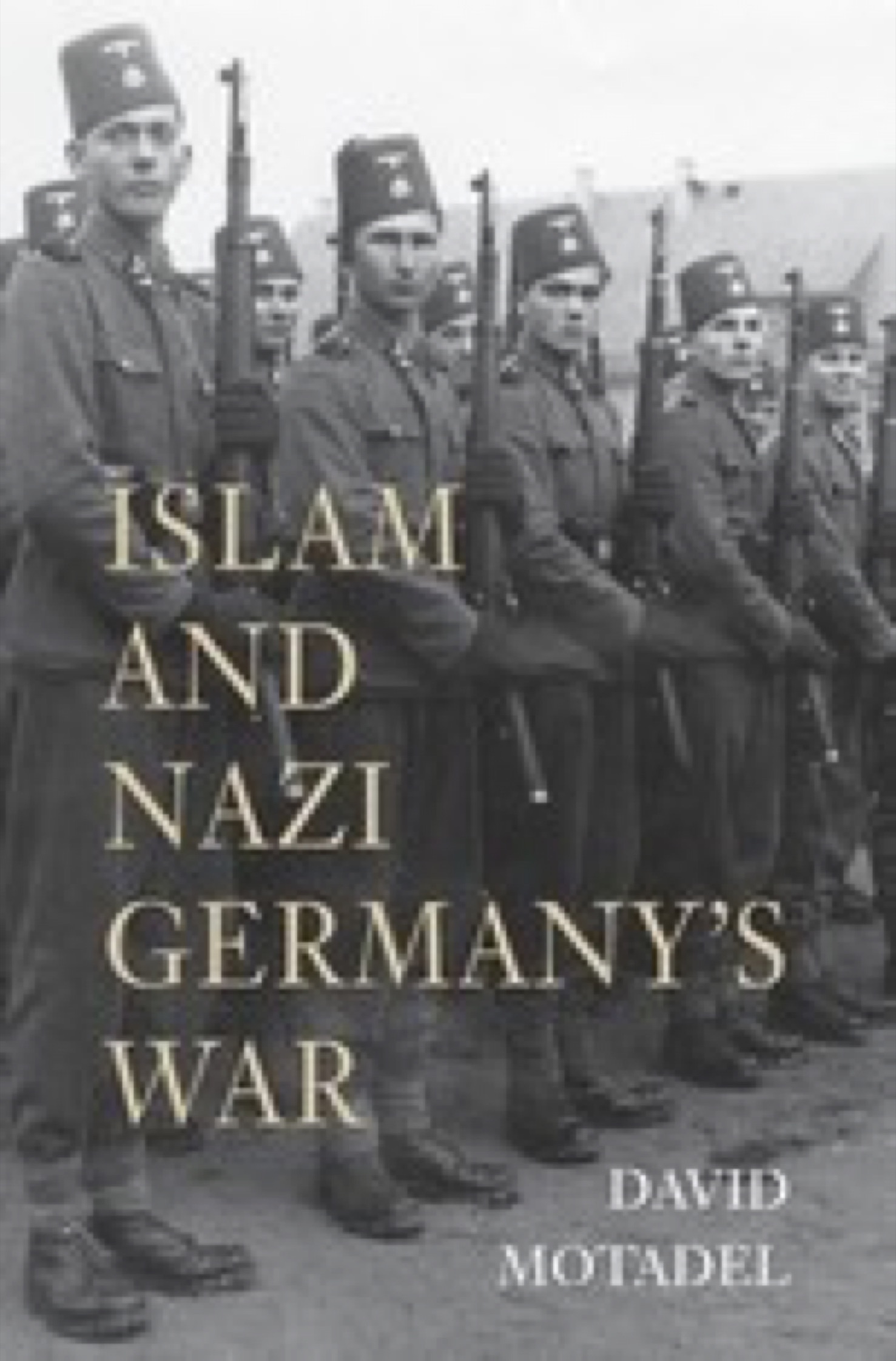 Cover of Islam and Nazi Germany's War