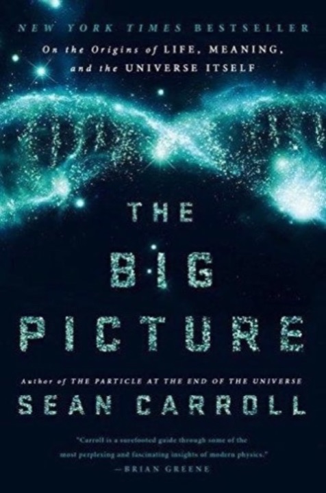 Cover of The Big Picture: On the Origins of Life, Meaning, and the Universe Itself