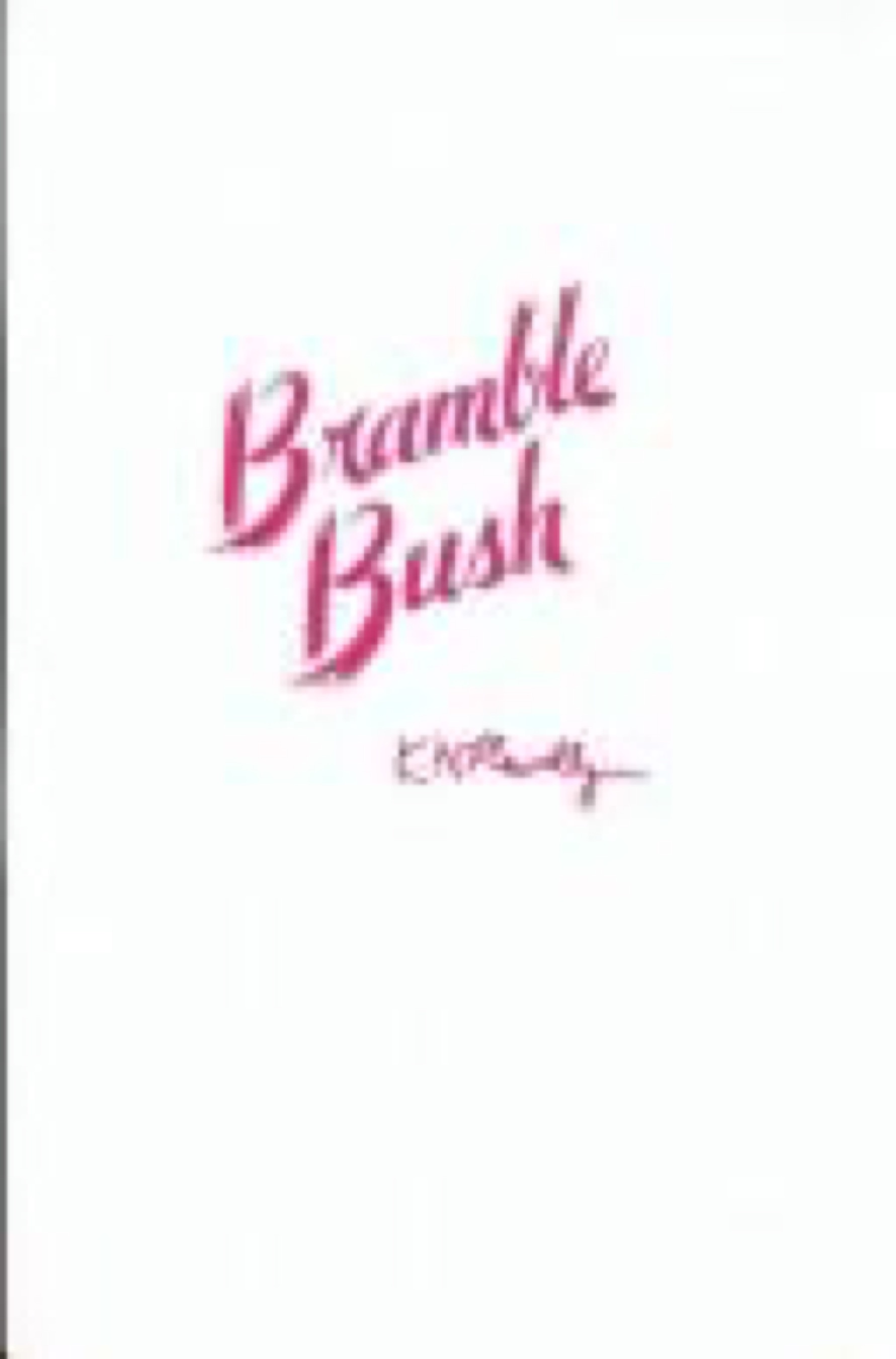 Cover of The Bramble Bush: On Our Law and Its Study