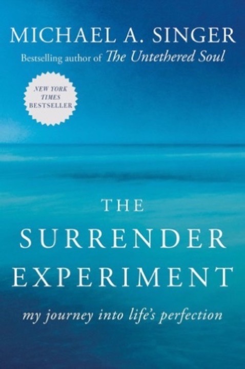 Cover of The Surrender Experiment: My Journey into Life's Perfection